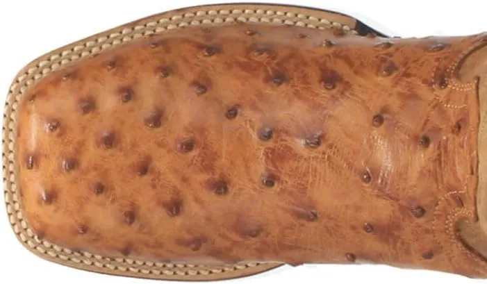 Dan Post Mens Alamosa Embroidered Ostrich Square Toe Pull On Dress Boots Mid Calf - Brown