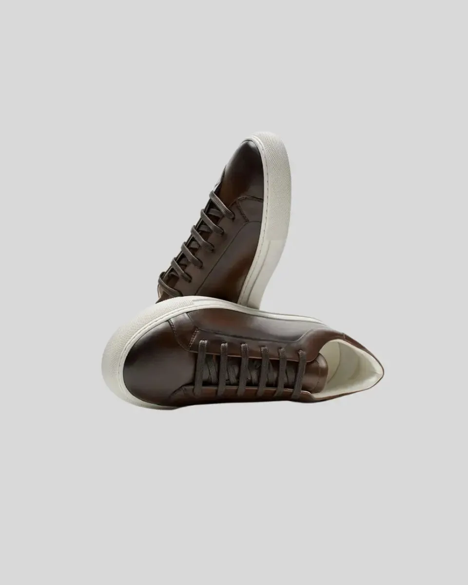 Supportive team Donkerbruin Oxford Sneakers - Leren Comprehensive range