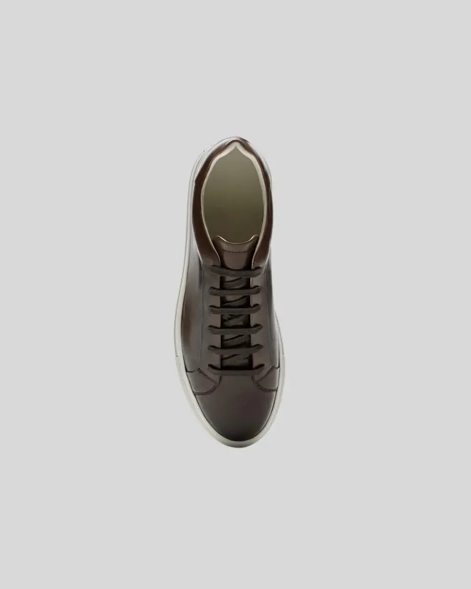 Supportive team Donkerbruin Oxford Sneakers - Leren Comprehensive range